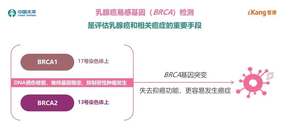 1605105176955437.jpg